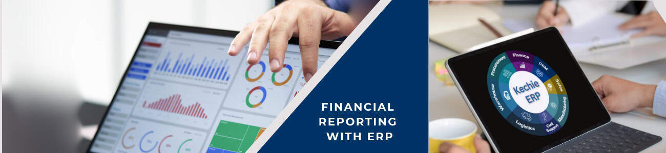 FinancialRpt segment ERP